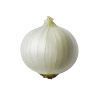 whole-white-onion-isolated-white-background-removebg-preview